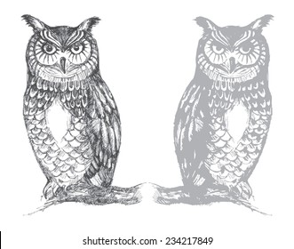 Owl Hand Drawn Vector Graphics