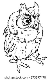 Owl hand drawn  vector illustration isolated on white background, stylized engraving