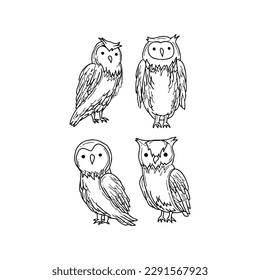 owl handrawn doodle illustrations vector set