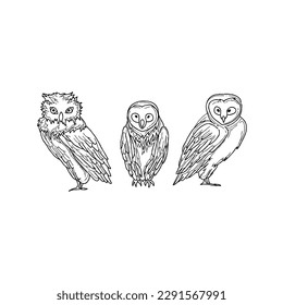 owl handrawn doodle illustrations vector set