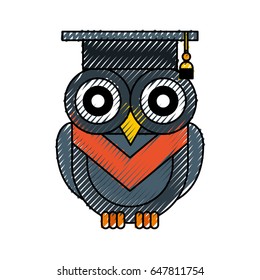 owl with hat graduation