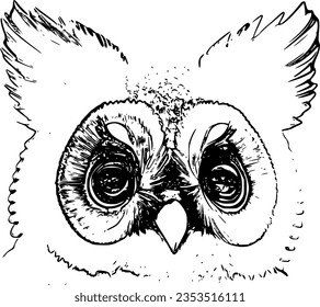 owl head with big eyes. black and white vector image isolated on white background