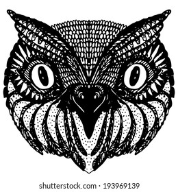 Owl head. Doodle hand drawn on white background. vector