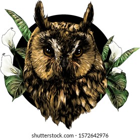 owl head full face in circle decorated with Calla flowers and leaves, sketch vector graphics color illustration on white background