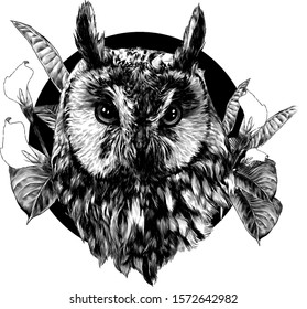 owl head full face in circle decorated with Calla flowers and leaves, sketch vector graphics monochrome illustration on white background