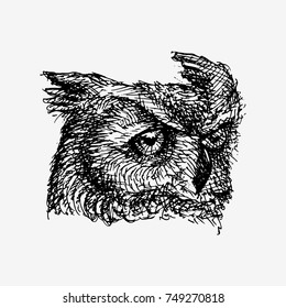 Owl head. Hand drawn vector stock illustration. Black and white