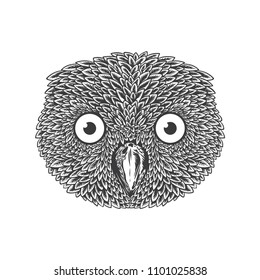 owl head illustration