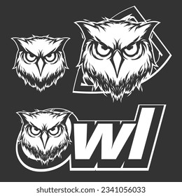 owl head logo design vector