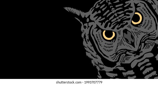 Owl head with predatory eyes. Realistic wild bird portrait. Front view. Vector illustration hand drawn on black background