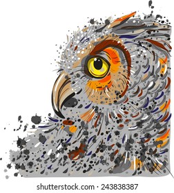 owl head in profile on a white background