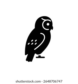 Owl with Head Turned Wild Bird Close-up in Natural Habitat