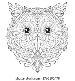 Owl head vector graphic