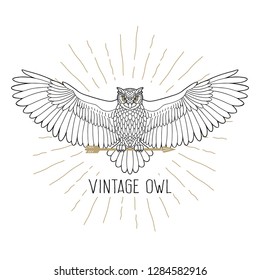 Owl. Owl holding an arrow. Eagle owl outline emblem in geometric hipster style with arrow and beams. Birds. Black white hand drawn doodle. Icon design on white background. Vector line icon