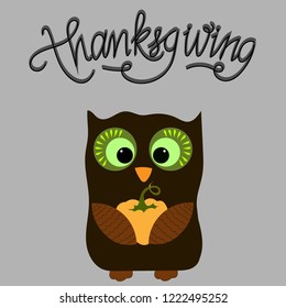 owl holding a pumpkin. Autumn harvest cartoon vector illustration. Thanksgiving day