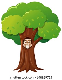 Owl in the hollow tree illustration