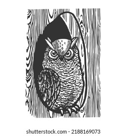 owl in the hollow of a tree sketch halftone pattern vector illustration. Scratch board imitation. Black and white hand drawn image.