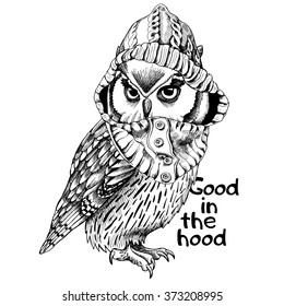 Owl in a hood. Vector black and white illustration.
