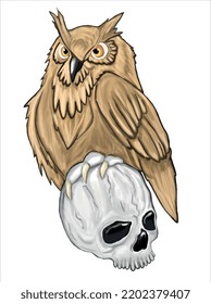 Owl And Human Skeleton Drawing