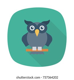  owl icon