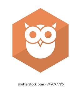   owl icon