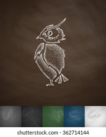 owl icon. Hand drawn vector illustration