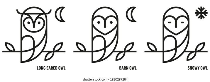 Owl icons. Barn, Long Eared and Snow. Ornithology, Nocturnal, Bird of Prey. Knowledge and Knowledge. Mono outline style - Vector