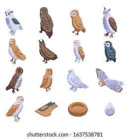 Owl icons set. Isometric set of owl vector icons for web design isolated on white background