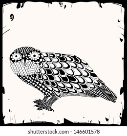 Owl illustration 