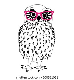 Owl illustration