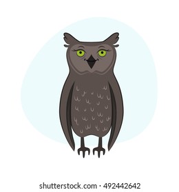 Owl Illustration