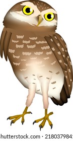 Owl illustration. 'Burrowing Owl' vector EPS format.