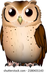 Owl illustration. 'Indian Scops Owl' Vector EPS format.