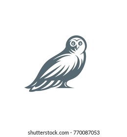 Owl illustration modern design