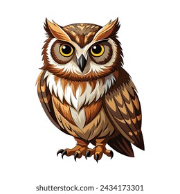 Owl illustration on White Background