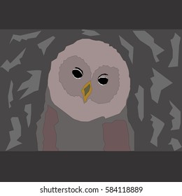 Owl Illustration Simple