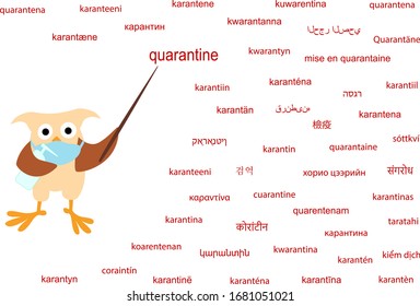 Owl indicates quarantine. In different languages ​​of the world.