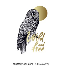 Owl and the inscription "Wild and free." Forest bird. Black and gold on a white background. Vector illustration for printing on T-shirts, bags, souvenirs.