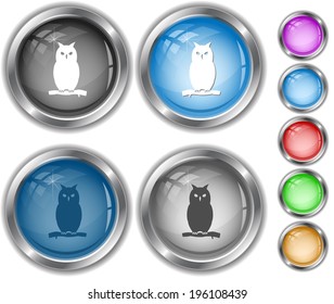 Owl. Internet buttons.