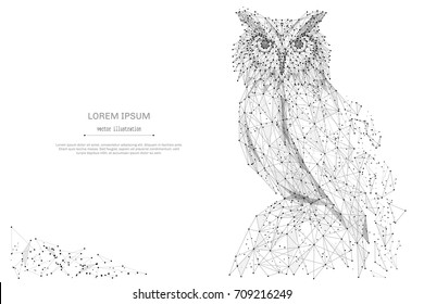 Owl isolated from low poly wireframe on white background. Wild bird of prey. Vector abstract polygonal image mash line and point hands collect puzzle with an inscription. Digital graphics