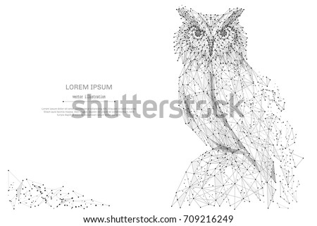 Owl isolated from low poly wireframe on white background. Wild bird of prey. Vector abstract polygonal image mash line and point hands collect puzzle with an inscription. Digital graphics