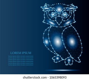 Owl isolated on blue background. Wild bird of prey. Polygonal low poly design. Wireframe polygon concept. Abstract vector illustration with polygon, line, connecting dots points .