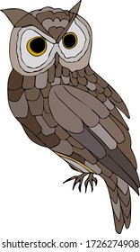 Owl isolated on a white background.