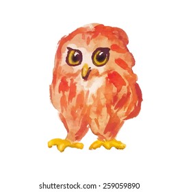 Owl isolated on white background