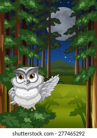 An owl in the jungle under moon and stars