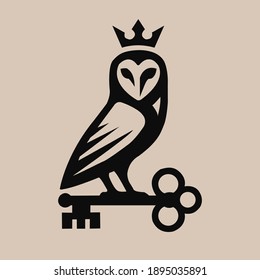 Owl and key in the, a symbol of wisdom, isolated on white, vector illustration