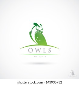 Owl label - vector illustration