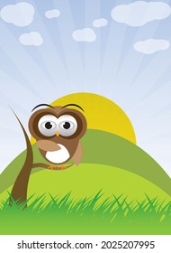 owl in landscape stand on tree branch and the sun shine on the back