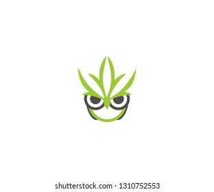 owl and leaf (marijuana) logo icon 