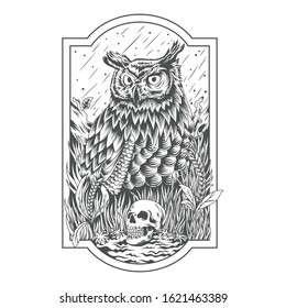 Owl Line Art Vector Illustration