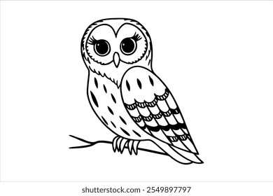 Owl Line Art Vector Illustration